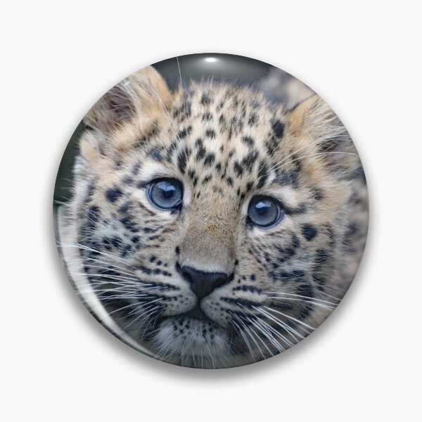 Item preview, A Beautiful Amur Leopard Cub designed and sold by Karen Thomson.