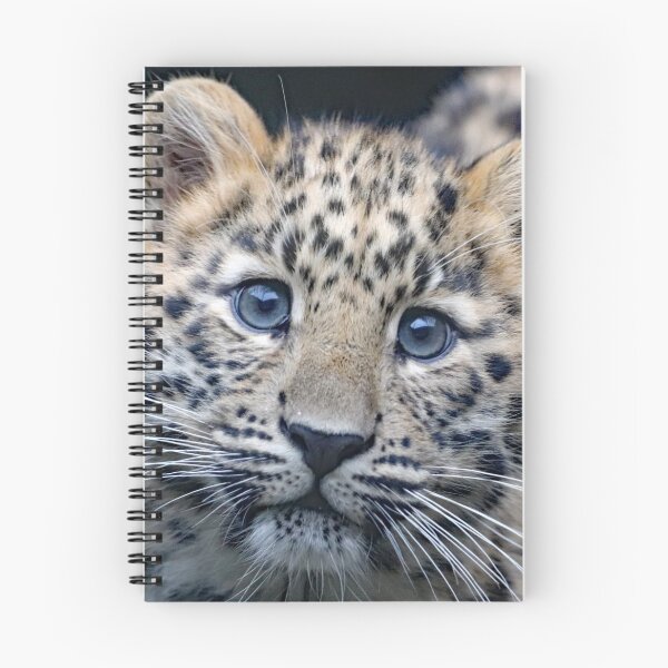 Item preview, A Beautiful Amur Leopard Cub designed and sold by Karen Thomson.