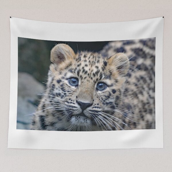 Item preview, A Beautiful Amur Leopard Cub designed and sold by Karen Thomson.