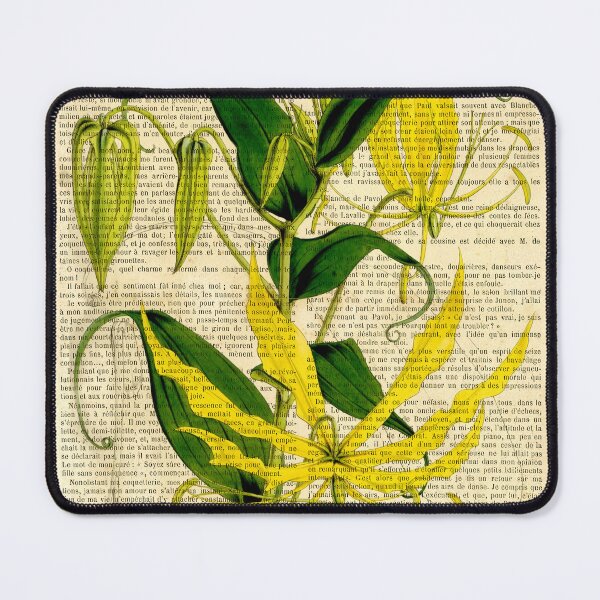 Item preview, Botanical print, on old book page - Gloriosa yellow designed and sold by Art by Lilia.