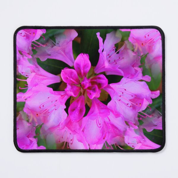 Item preview, Pink Formosa Azalea Flowers designed and sold by BostonArcImage.