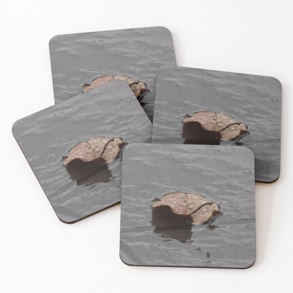 Item preview, Wet leaf on wet pavement designed and sold by Shizenkai.