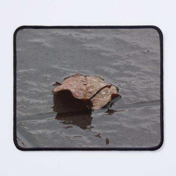 Item preview, Wet leaf on wet pavement designed and sold by Shizenkai.