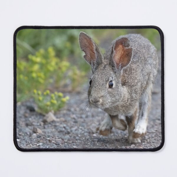 Item preview, Bun on the run designed and sold by Anthony Brewer.