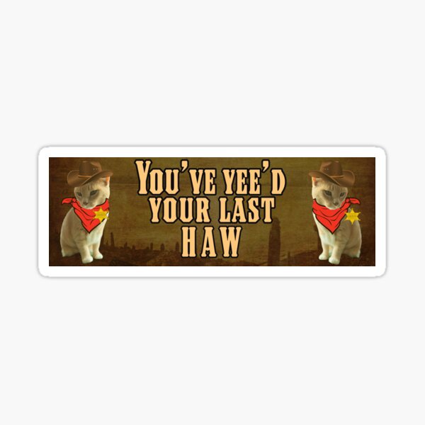 Funny Cat Bumper Sticker â€“ NickerStickers