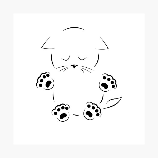Drawing Sad Kitty With Paws Photographic Print By Alexx60 Redbubble