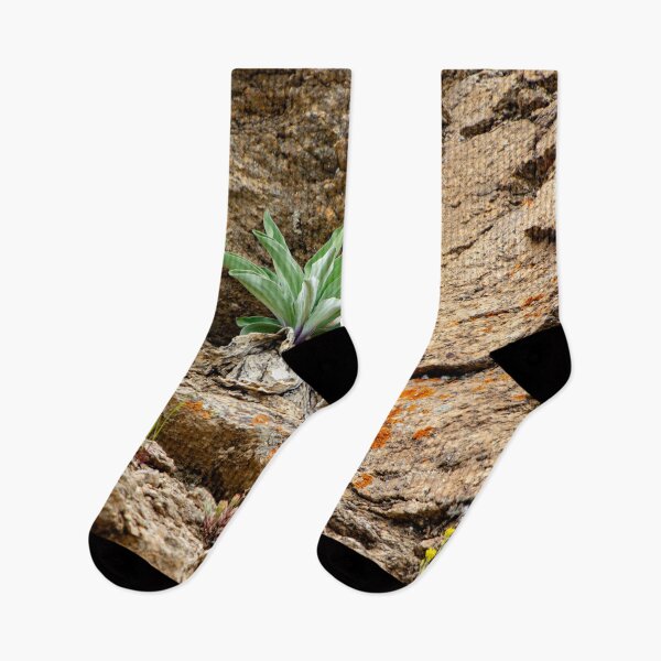 Item preview, Green plant among rocks designed and sold by Shizenkai.