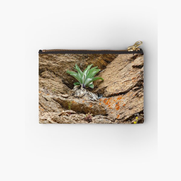 Item preview, Green plant among rocks designed and sold by Shizenkai.