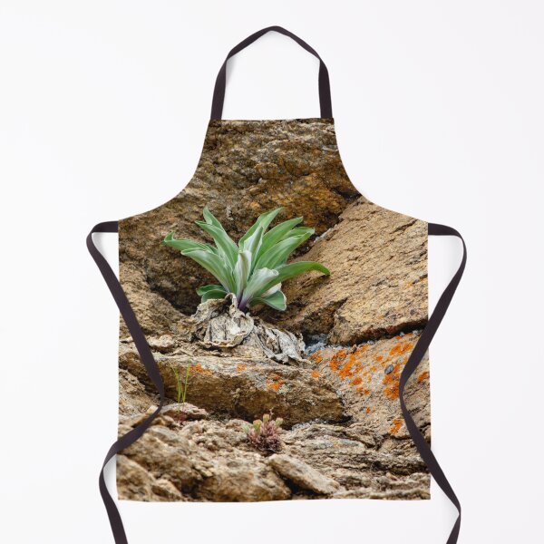 Item preview, Green plant among rocks designed and sold by Shizenkai.