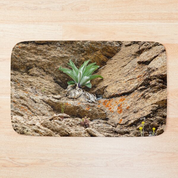 Item preview, Green plant among rocks designed and sold by Shizenkai.