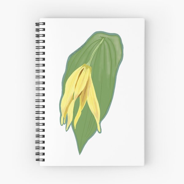Item preview, Large Flowered Bellwort designed and sold by birdybree.