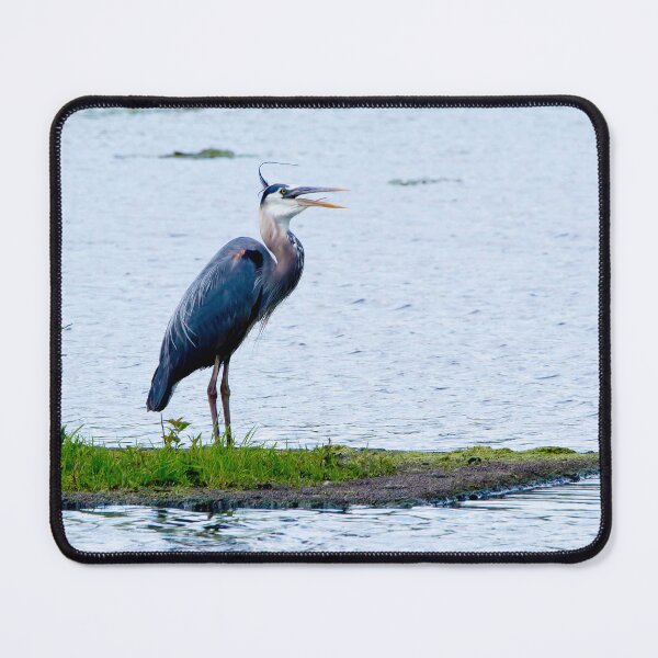 Item preview, Heron bird singing designed and sold by KRFNatureGifts.