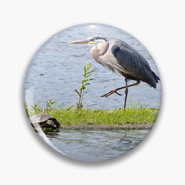 Item preview, Great blue heron and turtles designed and sold by KRFNatureGifts.