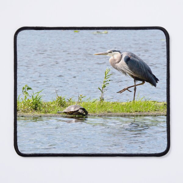 Item preview, Great blue heron and turtles designed and sold by KRFNatureGifts.