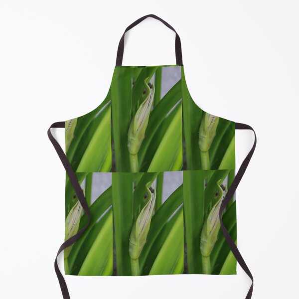 Item preview, Daylily Scape Starting to Open designed and sold by Robert Armendariz.