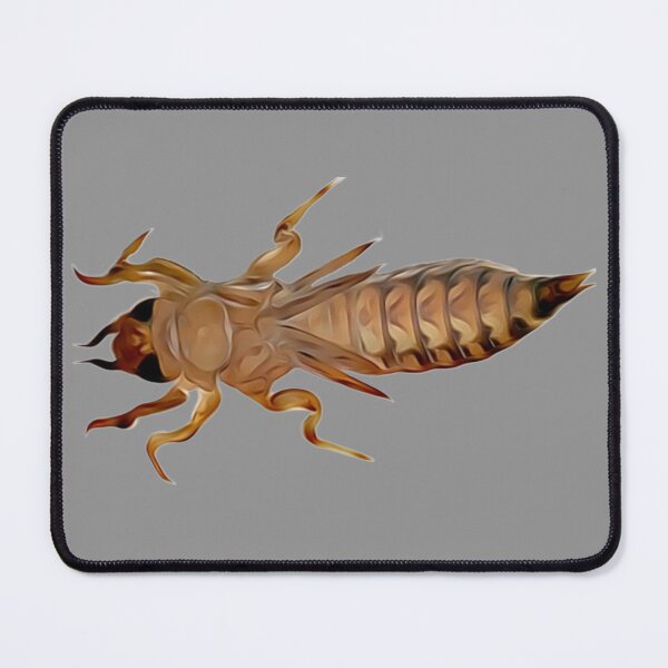 Item preview, A Common Sanddragon nymph designed and sold by Glasgorn.