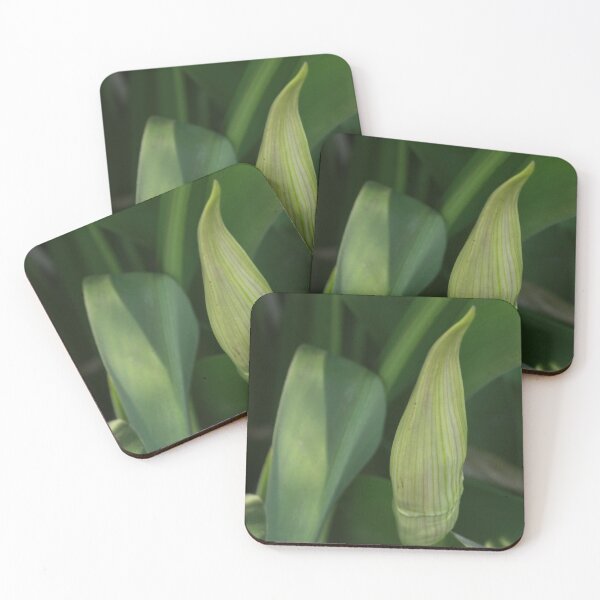 Item preview, Daylily Scape designed and sold by Robert Armendariz.