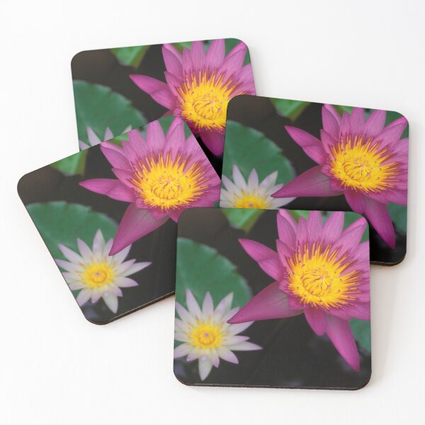 Item preview, Flower lotus Water Lilly Aquatic Plant Thailand designed and sold by Kevin Miller Photography.