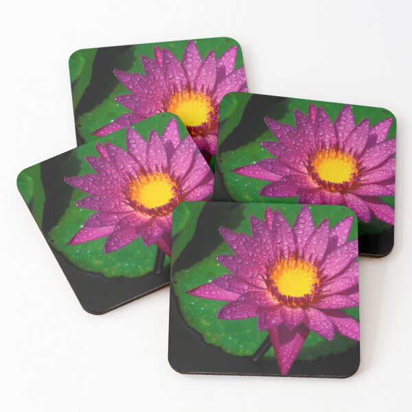 Item preview, Flower lotus Water Lilly Aquatic Plant Thailand designed and sold by Kevin Miller Photography.