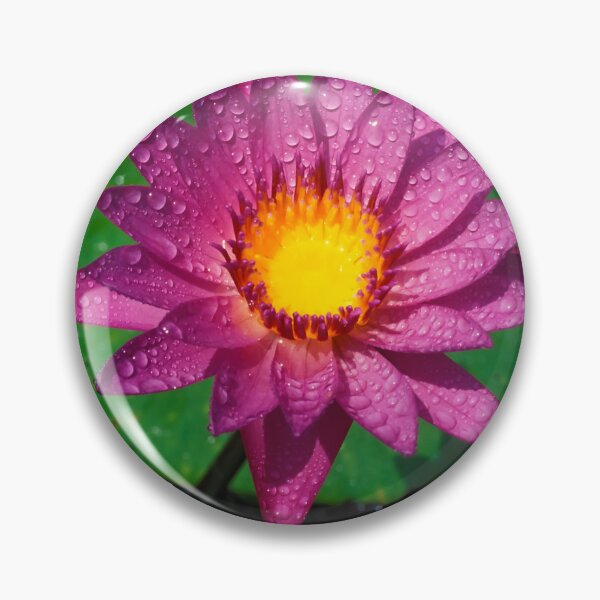 Item preview, Flower lotus Water Lilly Aquatic Plant Thailand designed and sold by Kevin Miller Photography.