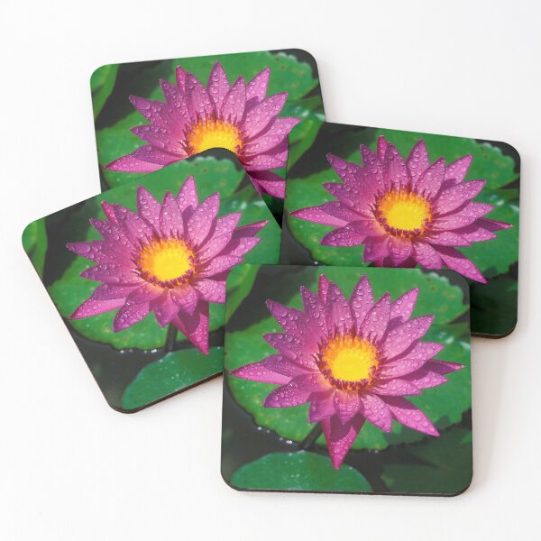 Item preview, Flower lotus Water Lilly Aquatic Plant Thailand designed and sold by Kevin Miller Photography.
