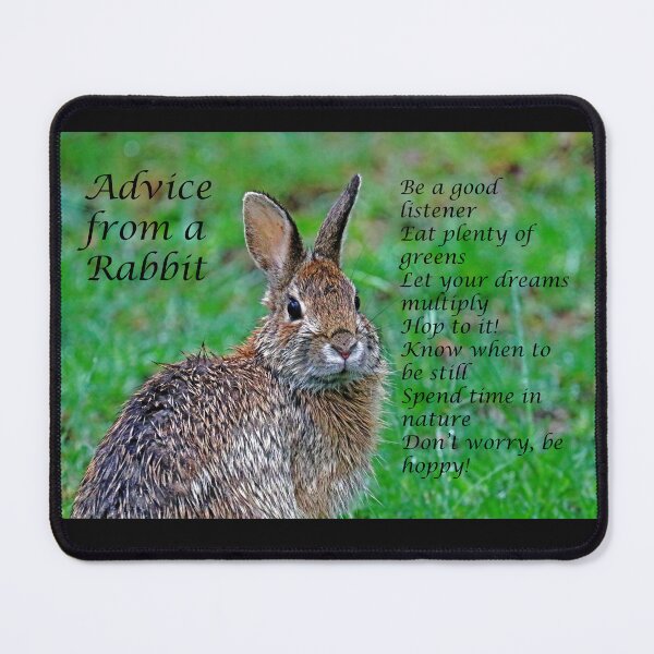 Item preview, Advice From A Rabbit designed and sold by Deb Oppermann.