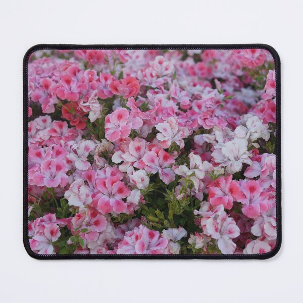 Item preview, Flowers pink Mijas andalusia travel  designed and sold by Tropical Blood.