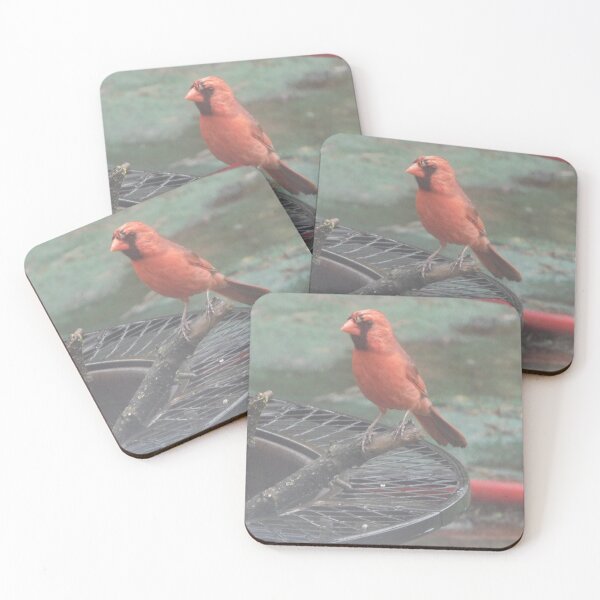Item preview, pájaro rojo cardenal designed and sold by Zarabeaver.