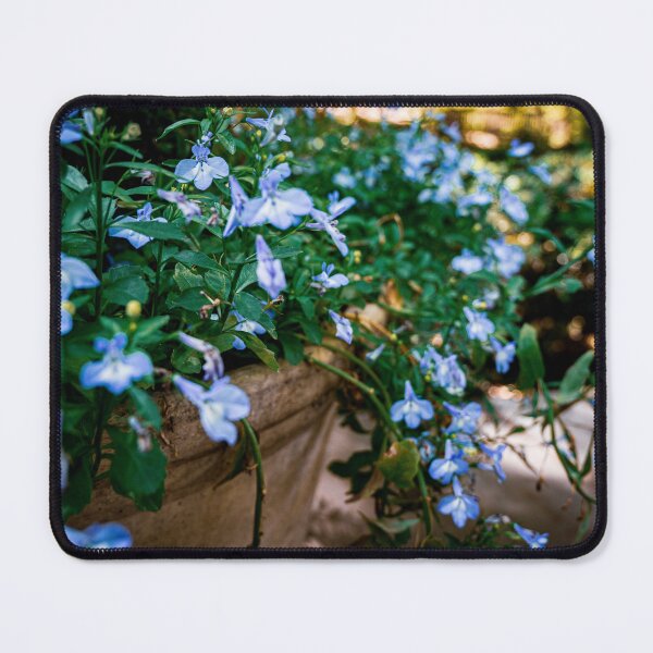 Item preview, Blue Trailing Lobelia Bellflower designed and sold by HoneyHuesPhotos.