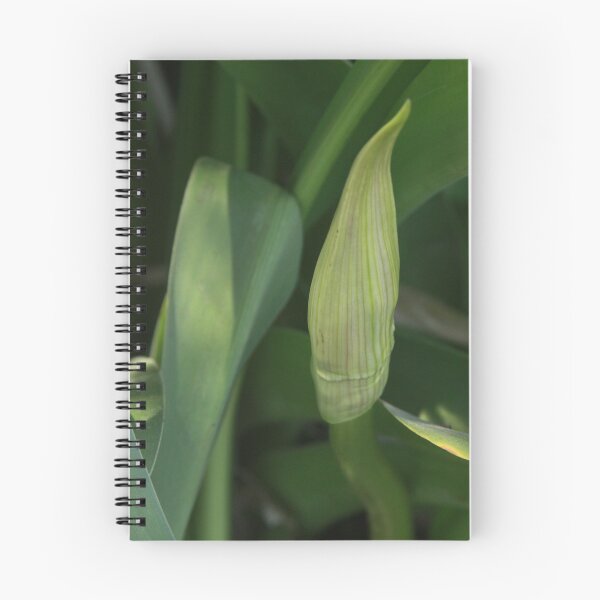 Item preview, Daylily Scape designed and sold by Robert Armendariz.