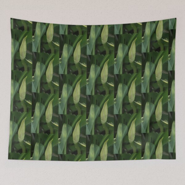 Item preview, Daylily Scape designed and sold by Robert Armendariz.