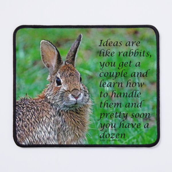 Item preview, Ideas designed and sold by Deb Oppermann.