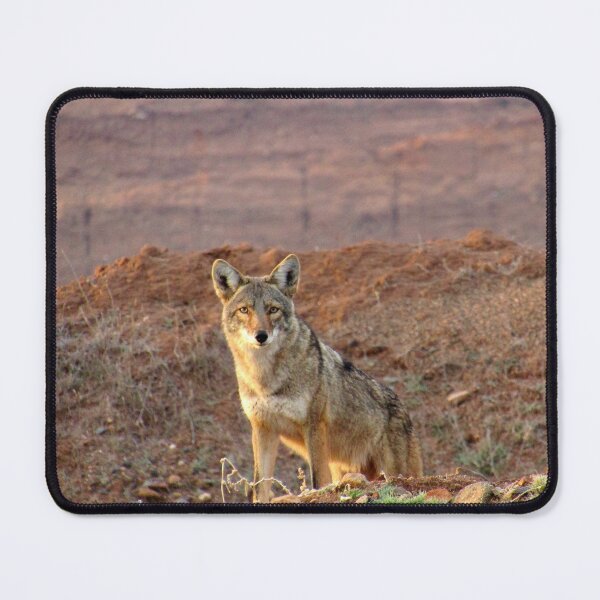 Item preview, Coyote blending in  designed and sold by Sedonaroma.