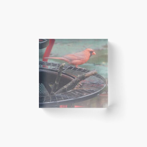 Item preview,  Northern Cardinal designed and sold by Zarabeaver.