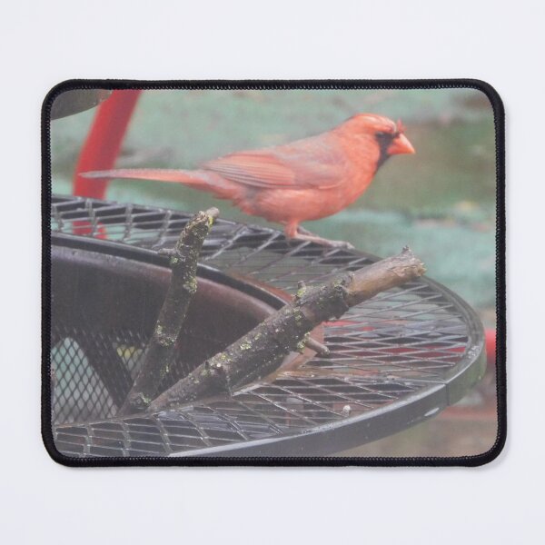 Item preview, Northern Cardinal designed and sold by Zarabeaver.