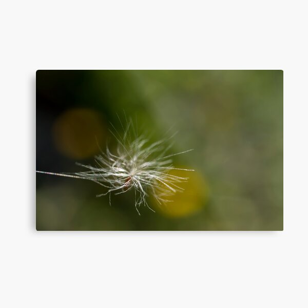 Fairy Stuck On A Single Spider Thread Metal Print