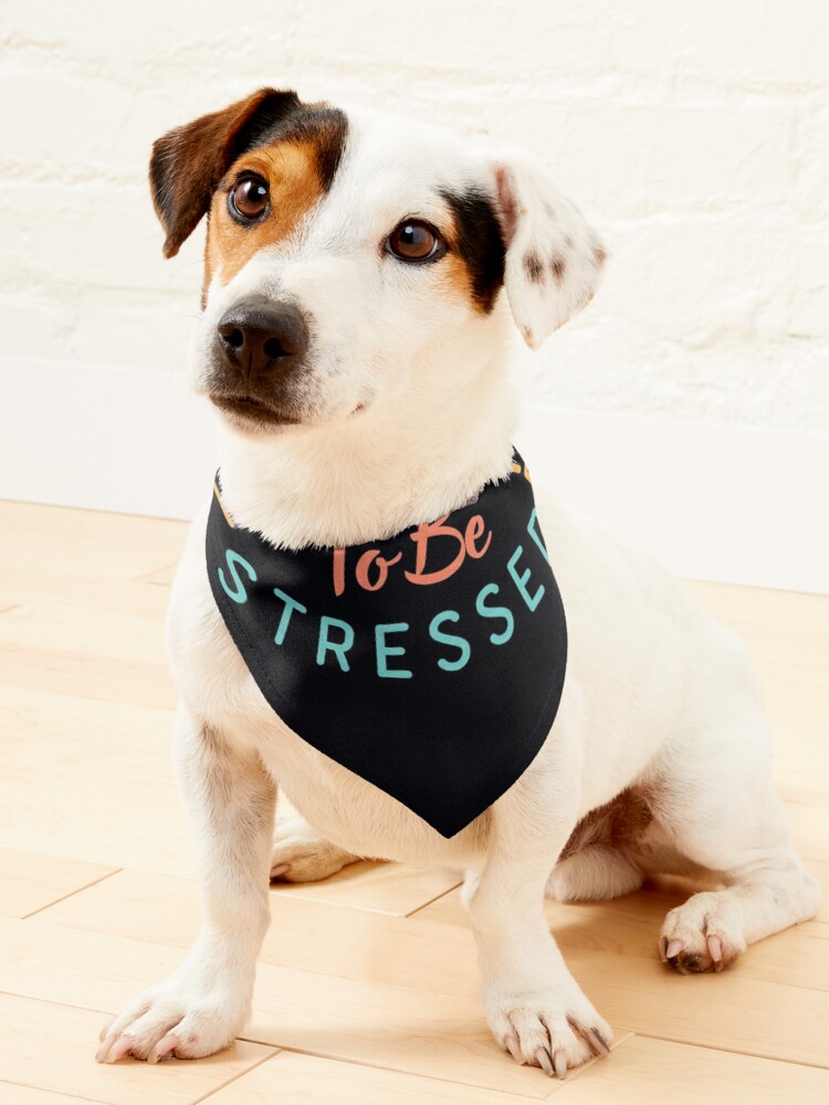 Tresse dog collar