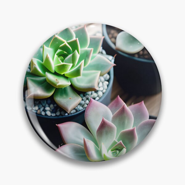 Artikelvorschau, Succulents entworfen und verkauft von amac1662.