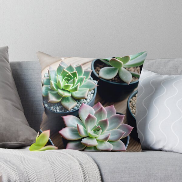 Item preview, Succulents designed and sold by amac1662.