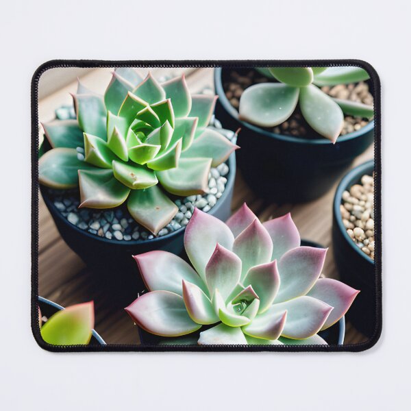 Item preview, Succulents designed and sold by amac1662.