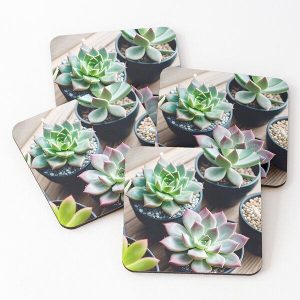 Item preview, Succulents designed and sold by amac1662.