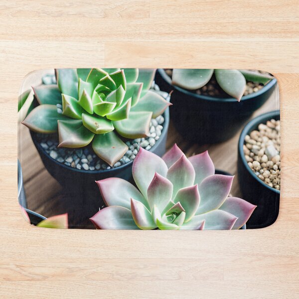 Item preview, Succulents designed and sold by amac1662.