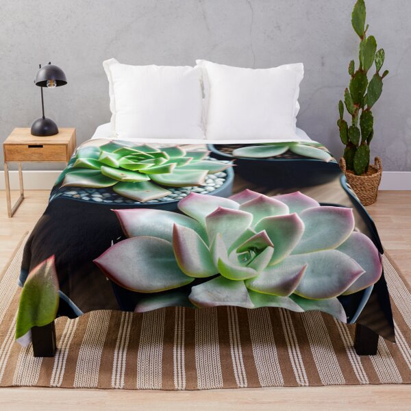 Item preview, Succulents designed and sold by amac1662.