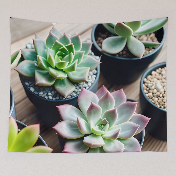 Item preview, Succulents designed and sold by amac1662.