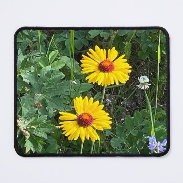 Item preview, Yellow Daisies designed and sold by Image-Prints.