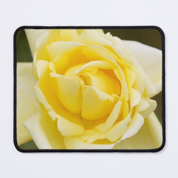 Item preview, Eternal Flame Hybrid Tea designed and sold by Robert Armendariz.