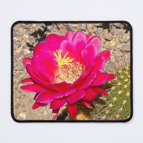 Item preview, Blooming Cactus designed and sold by Image-Prints.