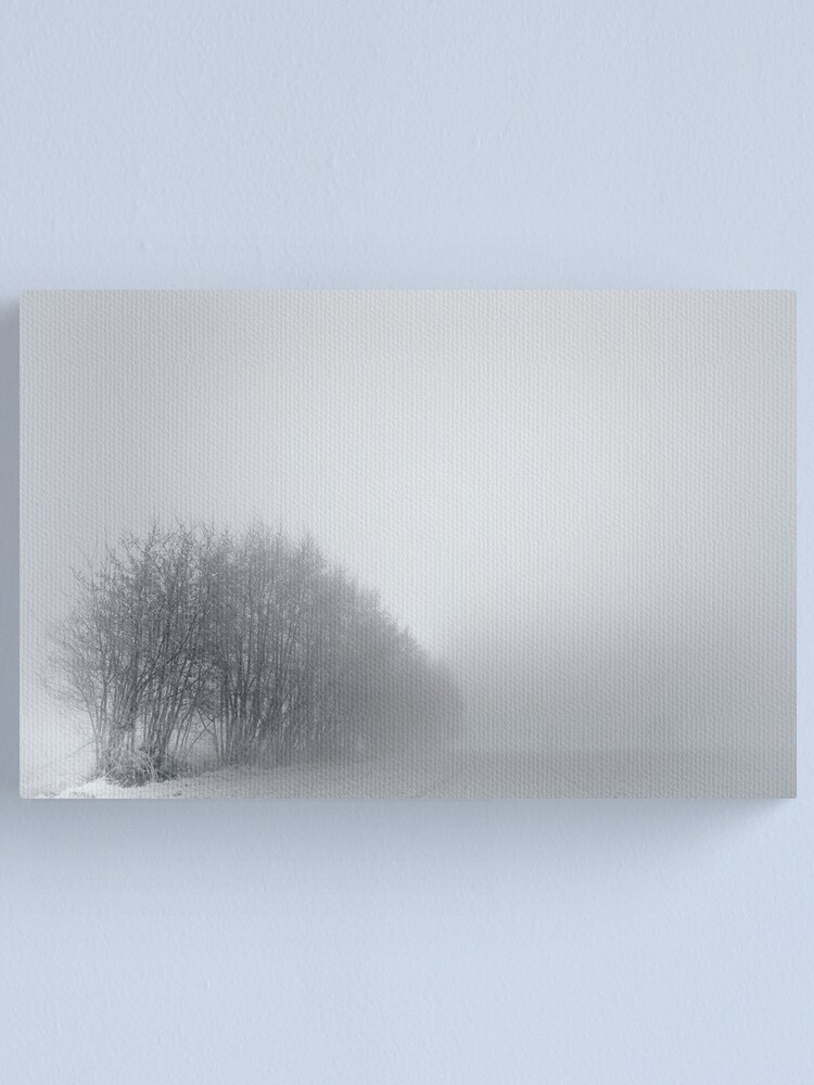 Alternate view of Trees; Mist Canvas Print