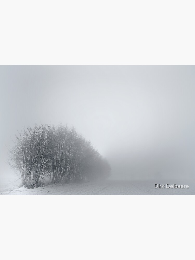 Trees; Mist by Delbaere