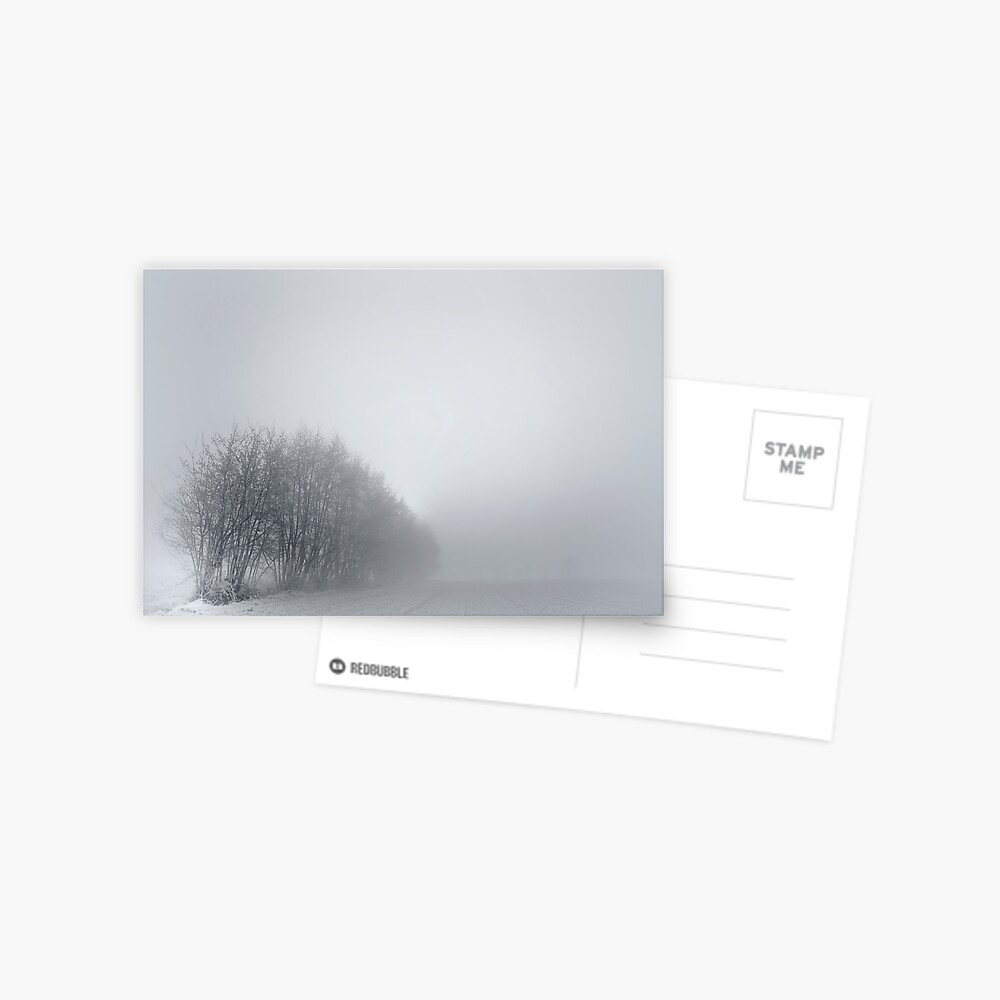 Trees; Mist Postcard